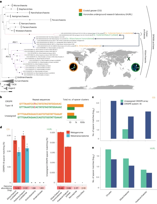 "CRISPR-Cas System: Unlocking the Potential of Microorganisms in Symbiosis and Parasite Defense"