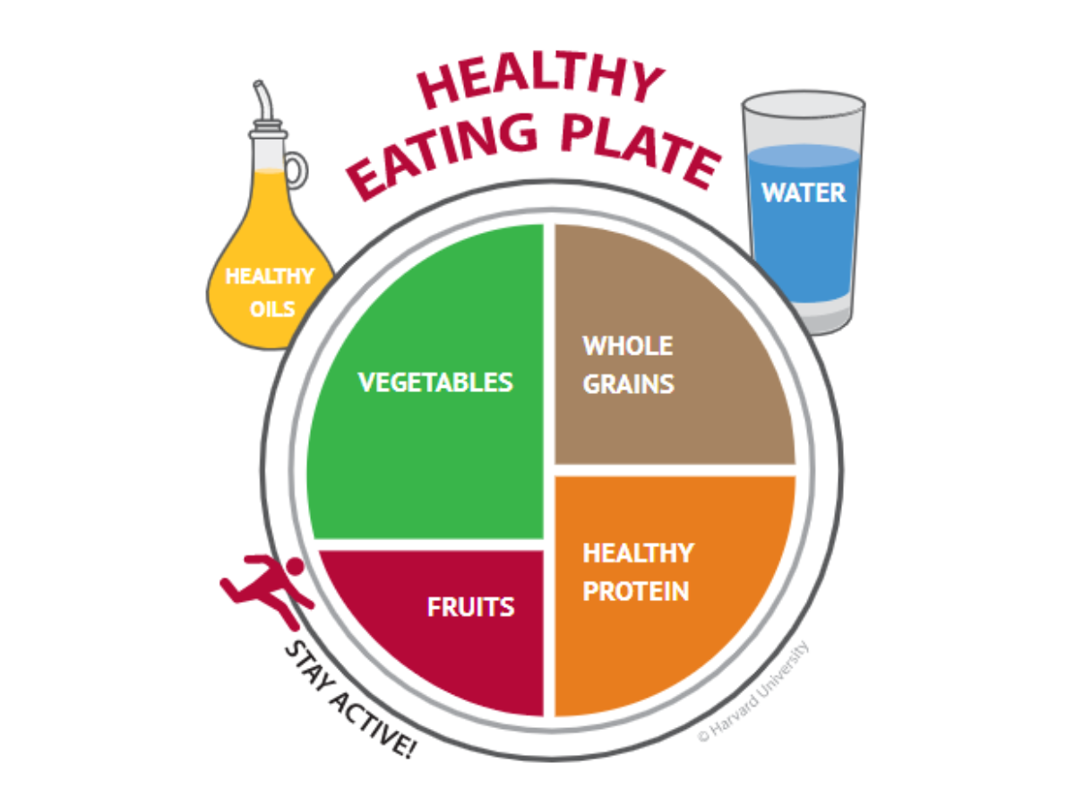 "Harvard Diet: The Key to Healthy Aging and Longevity"