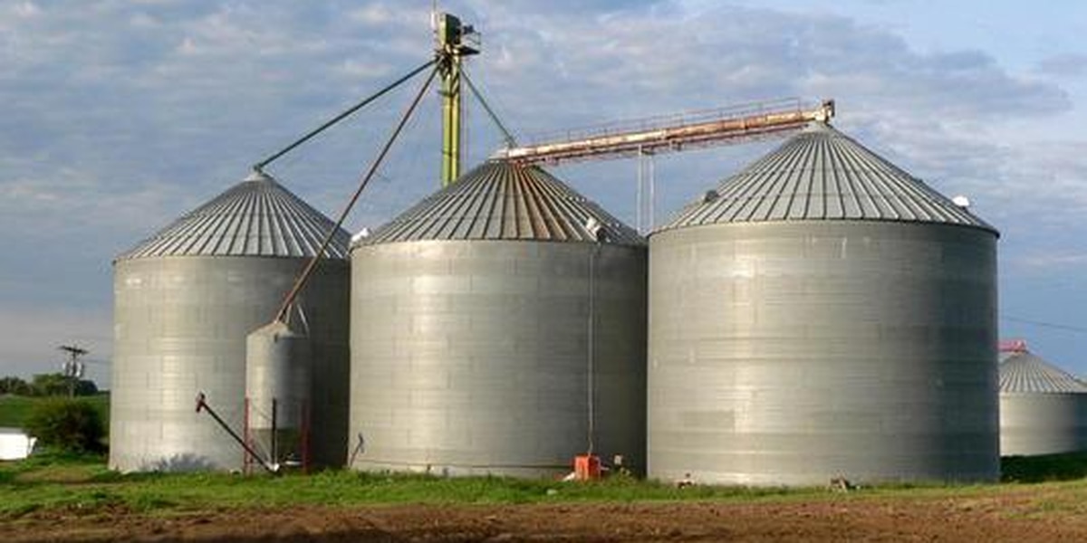 Featured image for Fatal Grain Bin Accident in Western Minnesota