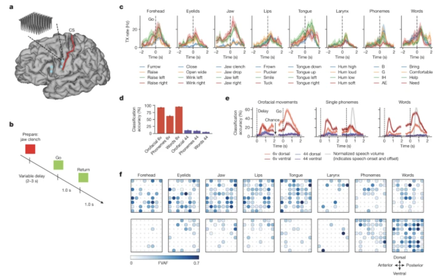 Featured image for Breakthrough Brain-Computer Interface Enables Paralyzed Woman to Speak through Digital Avatar
