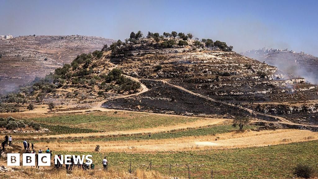 Featured image for Multiple Fatalities in West Bank Settler Attacks and Gaza