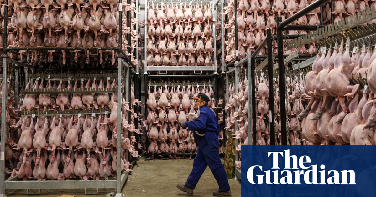 Meat-borne E. coli linked to high UTI rates in US, study shows.