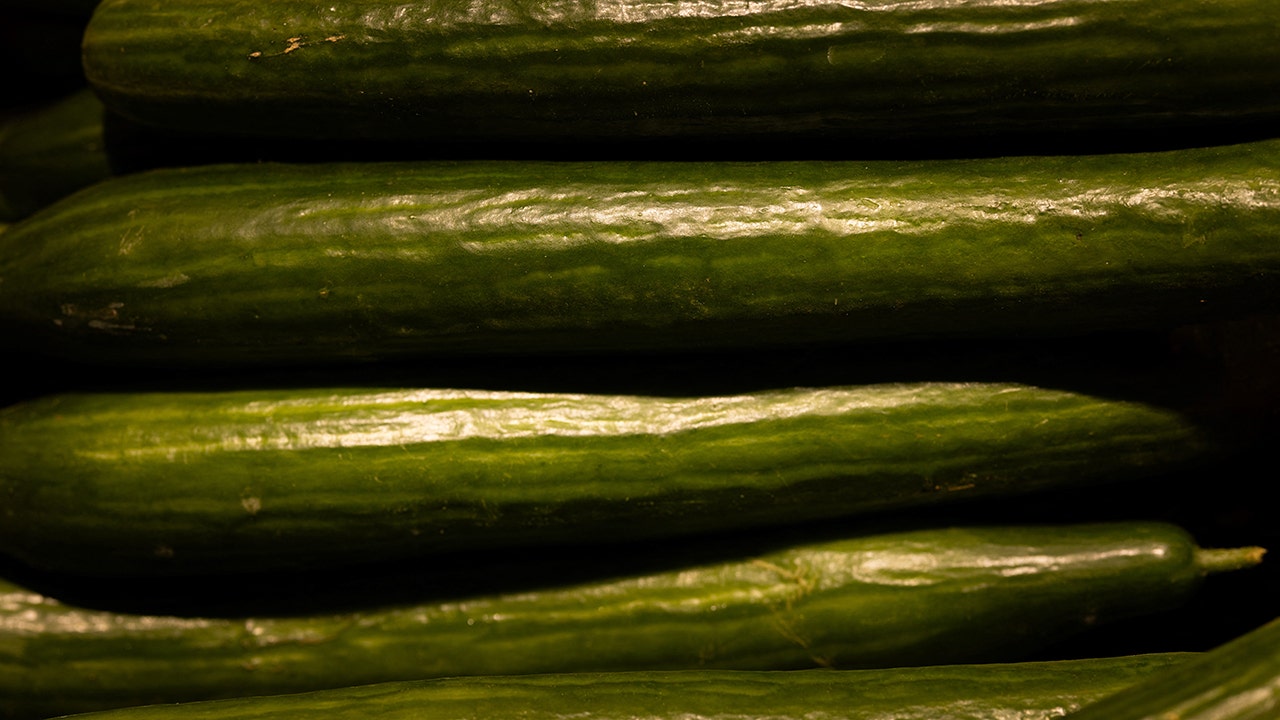 Cucumbers Recalled in 14 States Due to Salmonella Outbreak