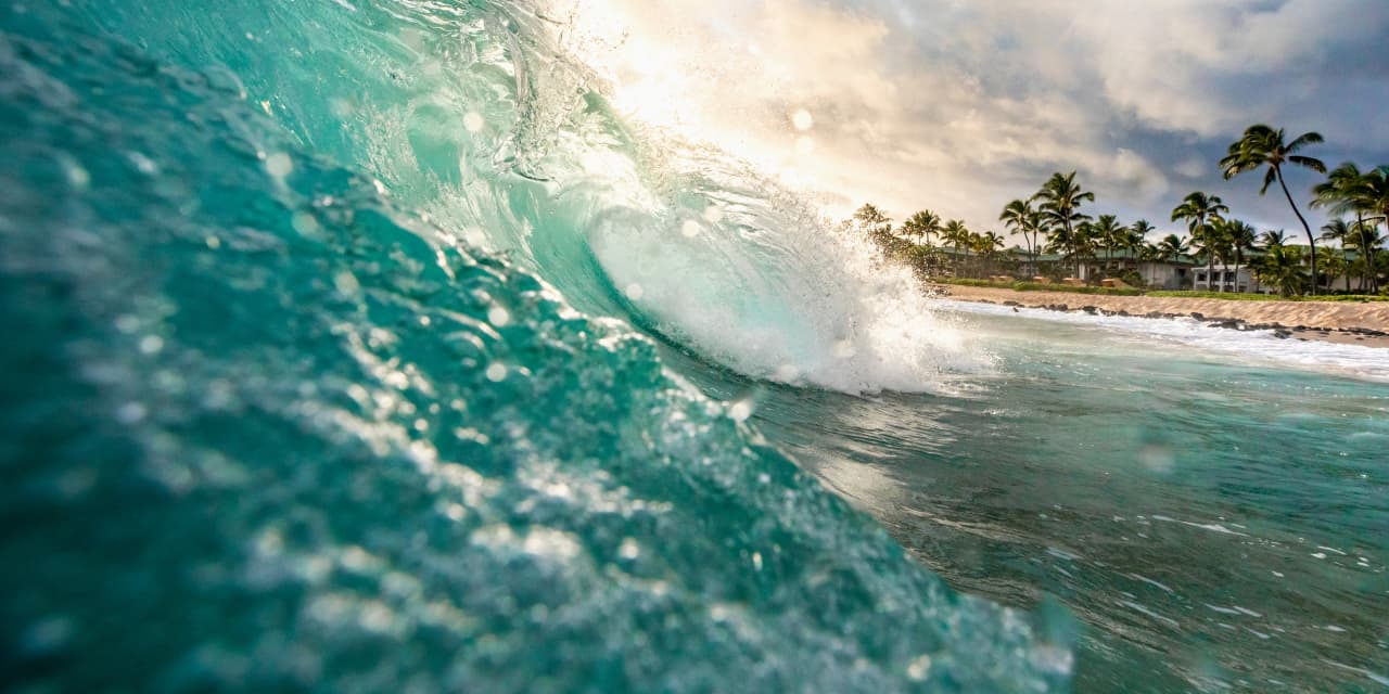 Featured image for August: From Best to Worst - A Volatile Market Outlook