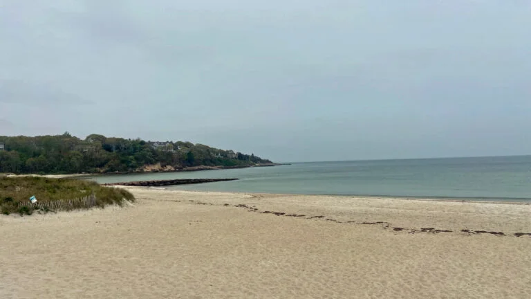 Featured image for Multiple Flesh-Eating Bacteria Cases Reported at Cape Cod and Louisiana Beaches