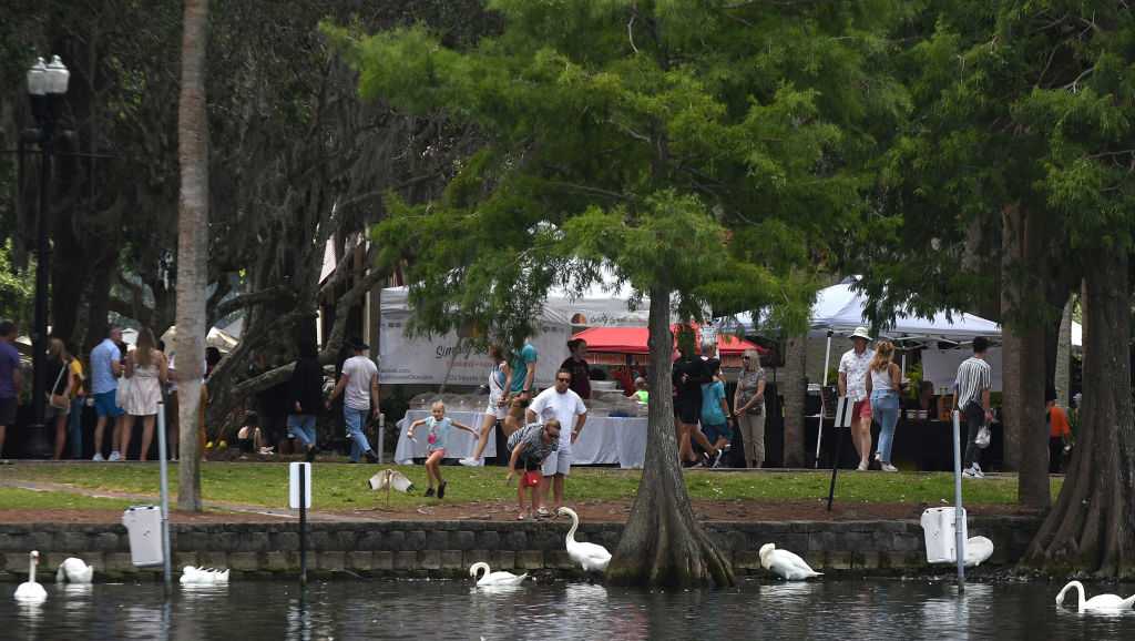 "Avian Flu Outbreak: Lake Eola Swans Test Positive Amid Deaths"