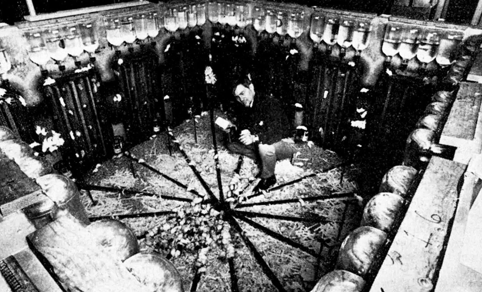 Featured image for 1970s Experiment Foretells Humanity's End in Chilling Prediction