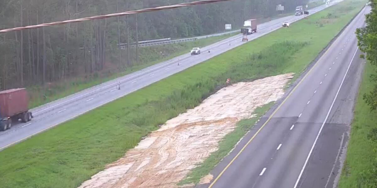 Featured image for Traffic Delays and Hit-and-Run Incidents Cause Chaos on Multiple Highways