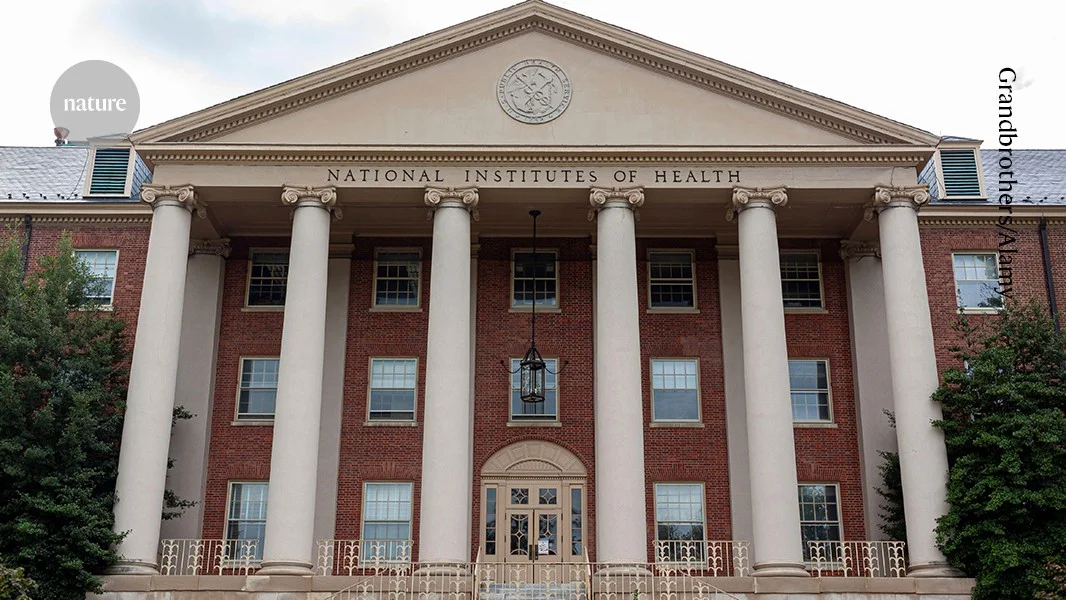 NIH grant-review panels risk becoming dormant by end of 2026