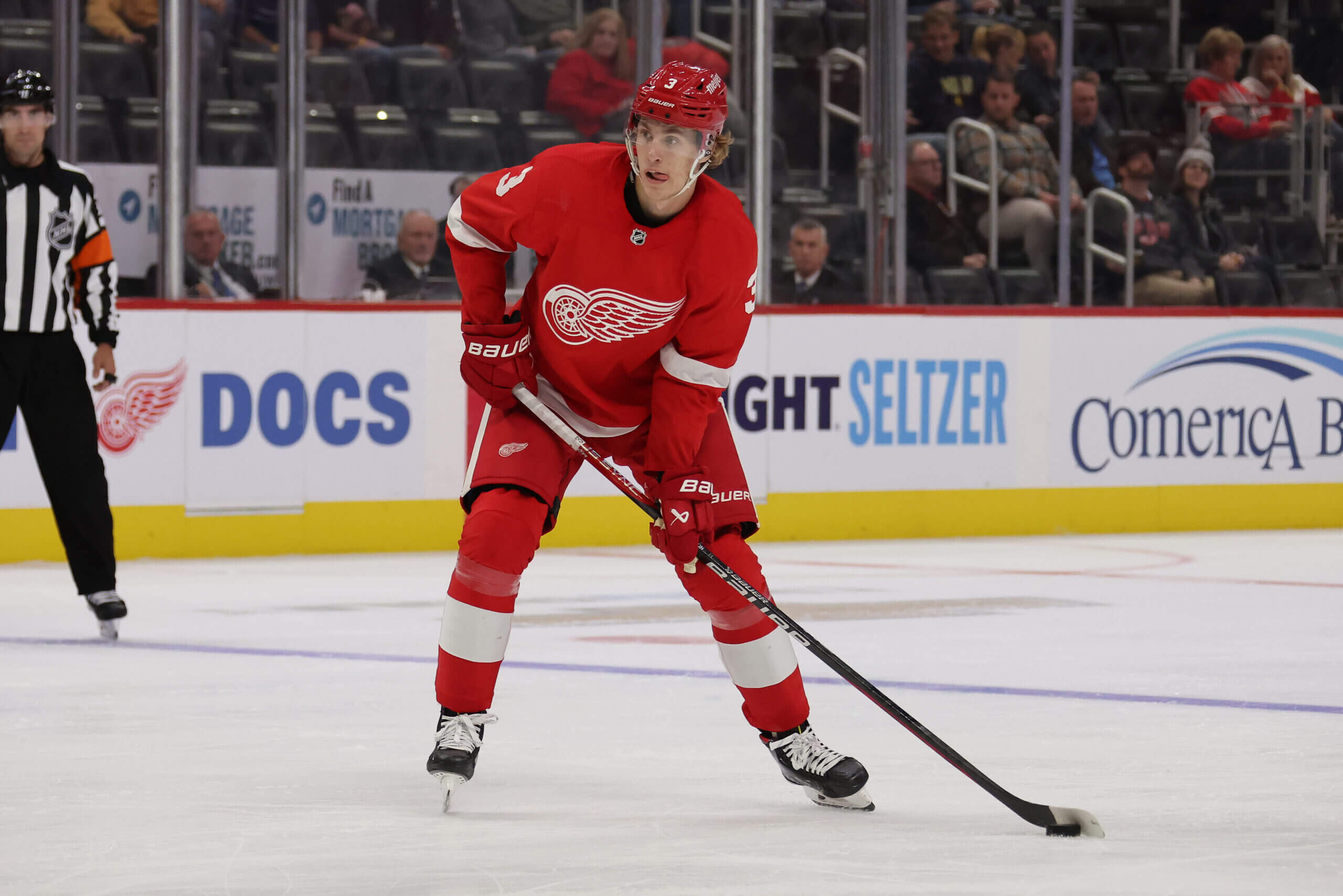 Featured image for Red Wings' Rebuild: Top 10 Prospects and the Endgame