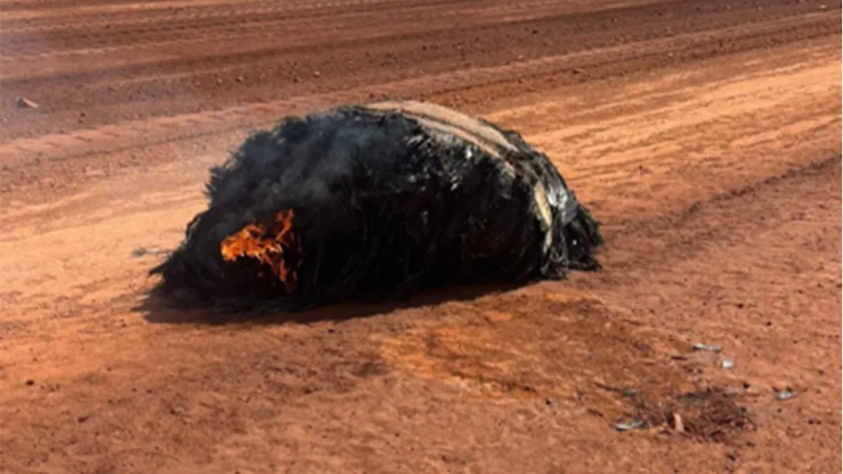 Featured image for Rising Space Debris Sparks Concerns Over Earth's Increasingly Dangerous Orbit