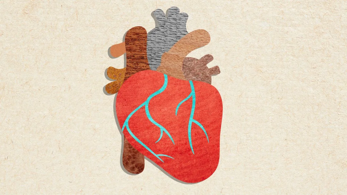 New Cholesterol Guidelines Emphasize Early Screening and Clear LDL Goals