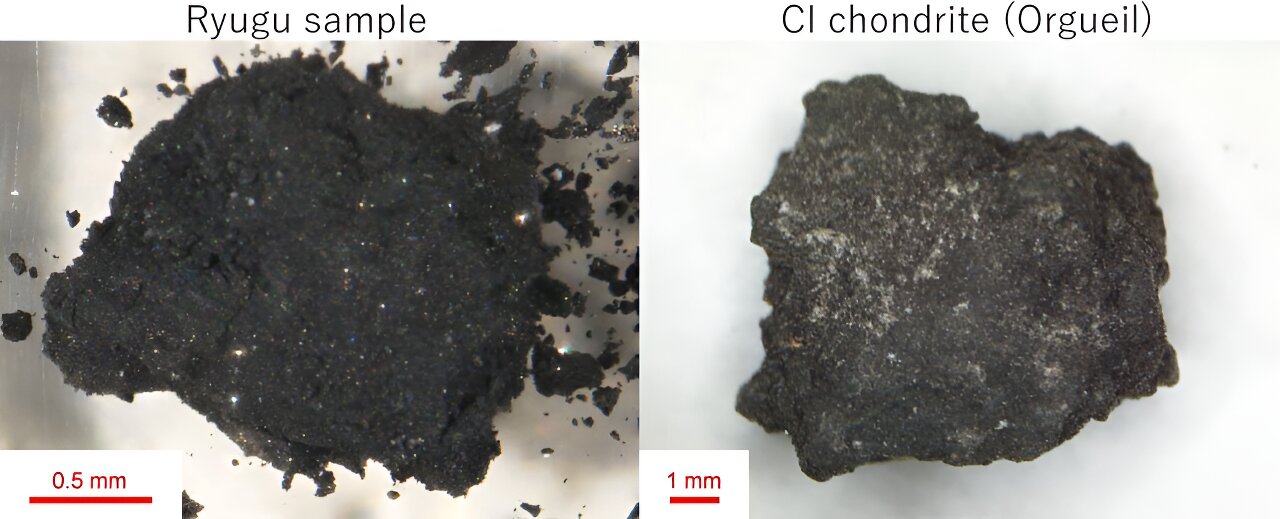 Unveiling the Impact of Terrestrial Weathering on Primitive Meteorites through Ryugu Samples