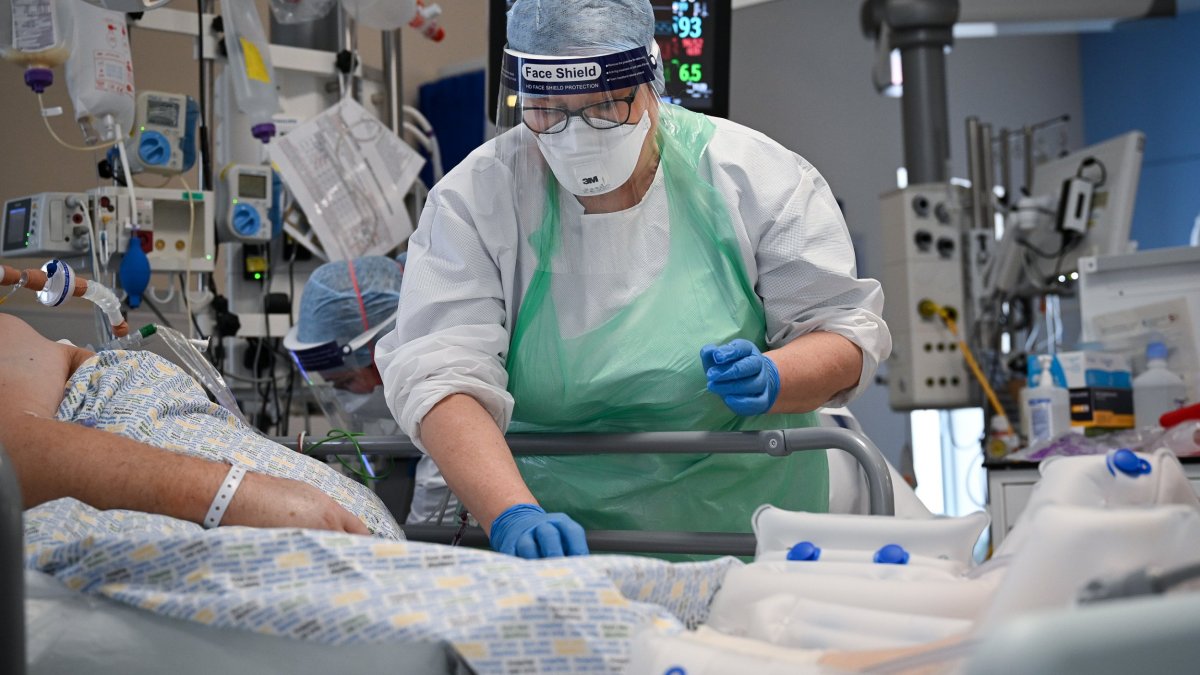 Featured image for "613-Day Covid Infection Sparks Concern Over New Mutations"