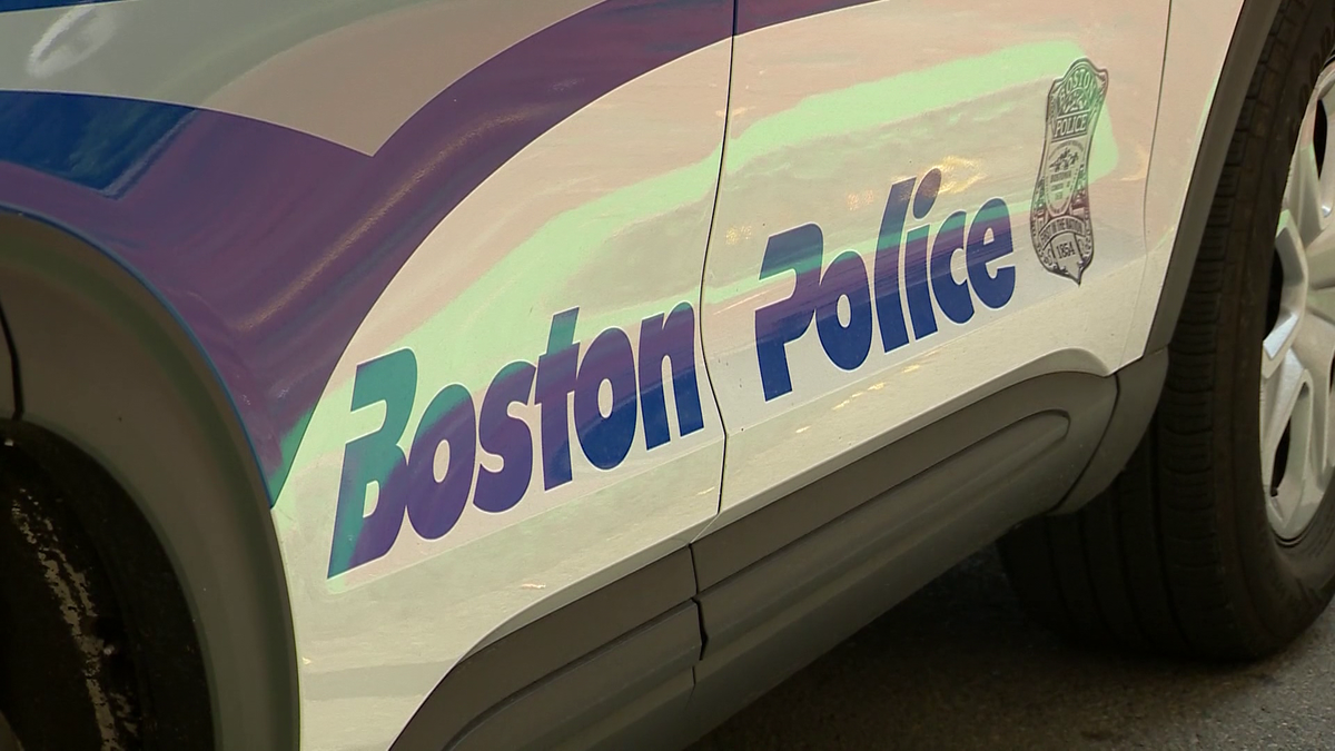 "Boston Woman Charged with Brutal Assault on Sister After Night Out"