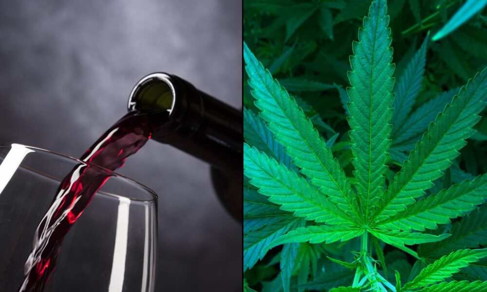 Featured image for Americans Believe Marijuana is Safer and Less Addictive Than Alcohol, Cigarettes, and Technology