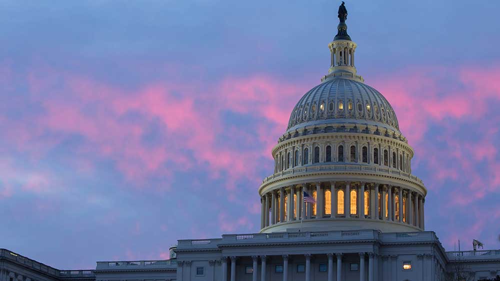 Featured image for Markets Rally as Shutdown Ends, Tech Gains Boost Investor Confidence