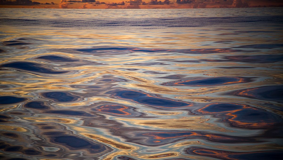 Exploring the World's Largest and Deepest Ocean, Also the Oldest.