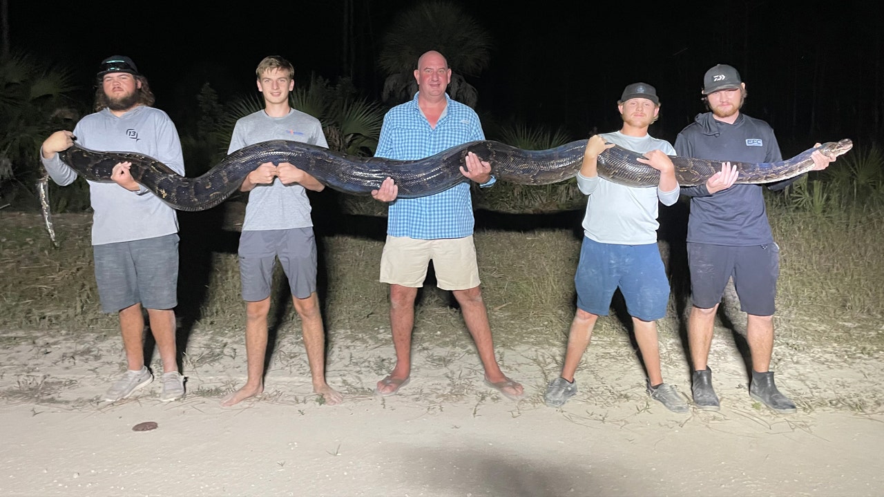 Featured image for Florida Men Conquer Invasive 17-Foot Python in Everglades