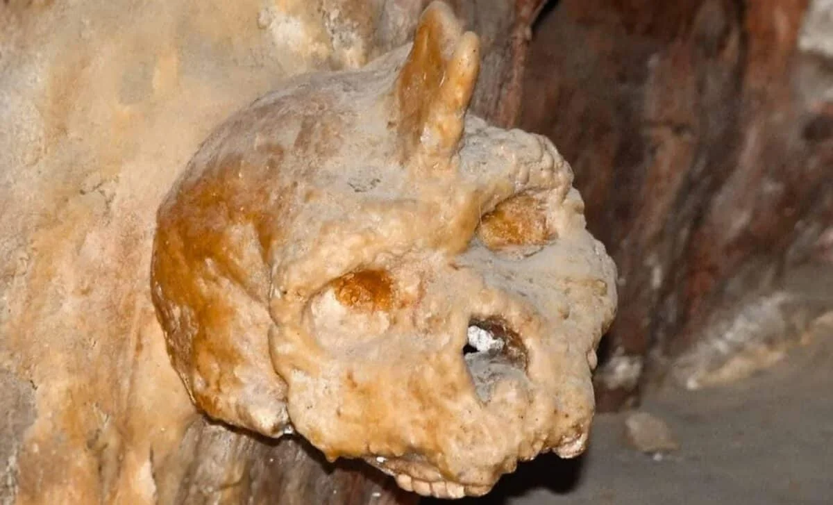 Greek Skull Rewritten: A 300,000-Year-Old Relic Belongs to Homo Heidelbergensis