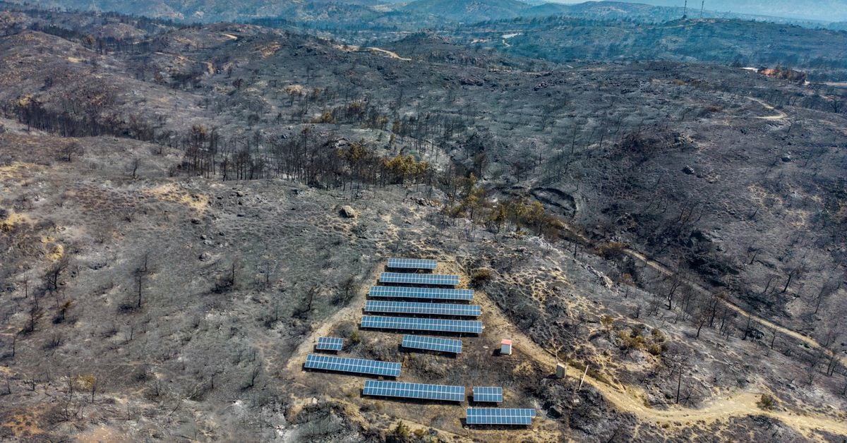 "Solar Power Shines Bright in Europe's Heatwave Energy Crisis"