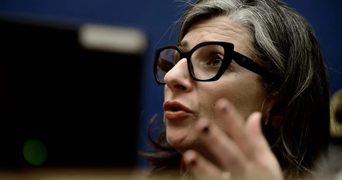 UN Experts Refute EU Push to Oust Gaza Remarks Special Rapporteur