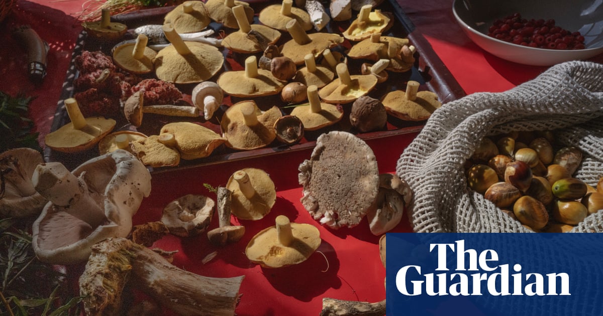 Featured image for "Evolutionary Advantage: The Potential Upside of ADHD"