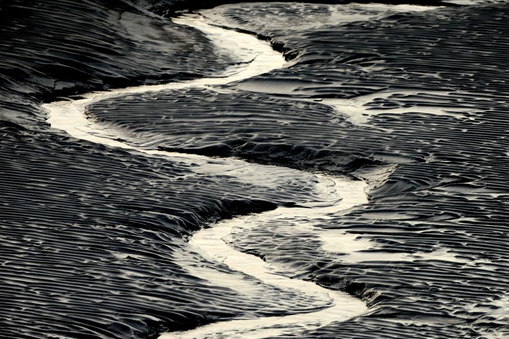 Tragic Death of Illinois Man Stuck in Alaska Mud Flats