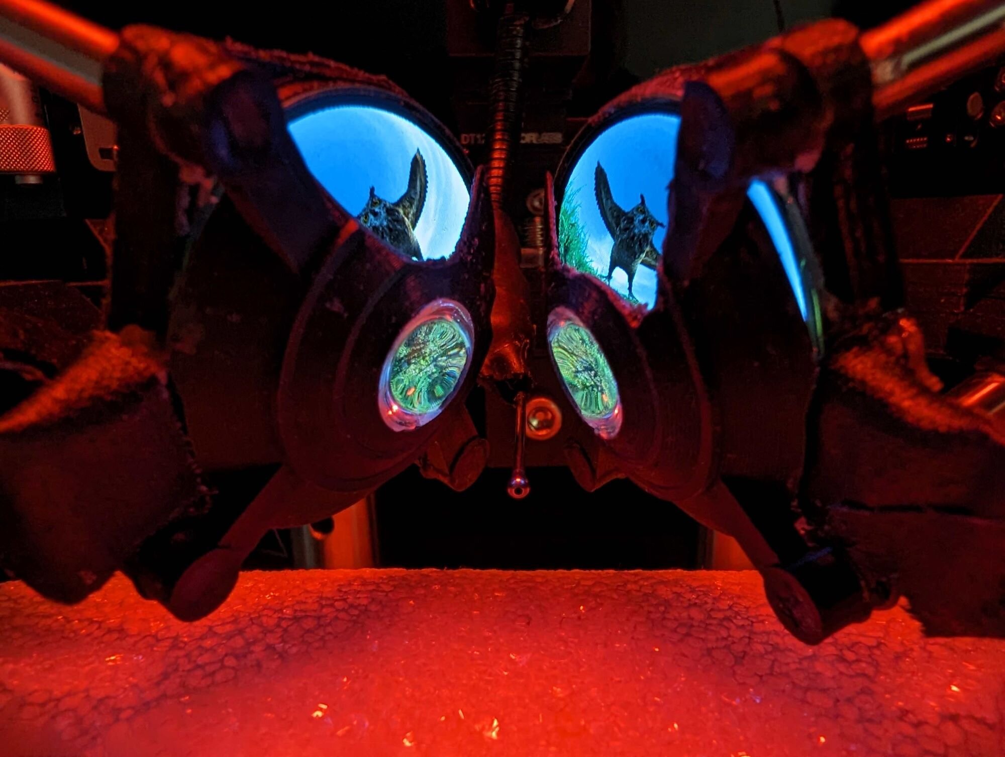 "Advancing Neuroscience Research with Miniature VR Goggles for Mice"