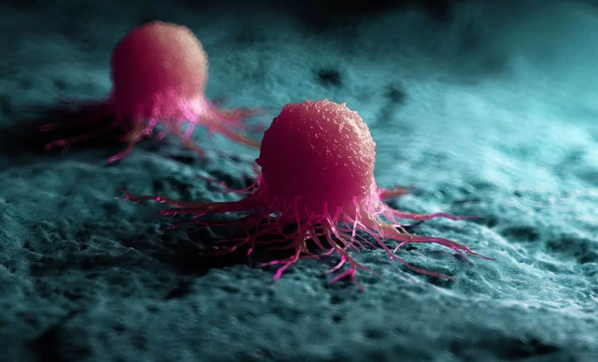 MYC’s RNA Trick Drives Immune Evasion in Pancreatic Cancer