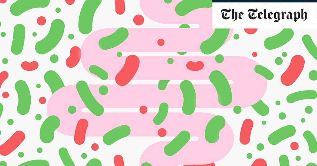 Optimizing Gut Health: Probiotics, Prebiotics, and In-Season Ingredients