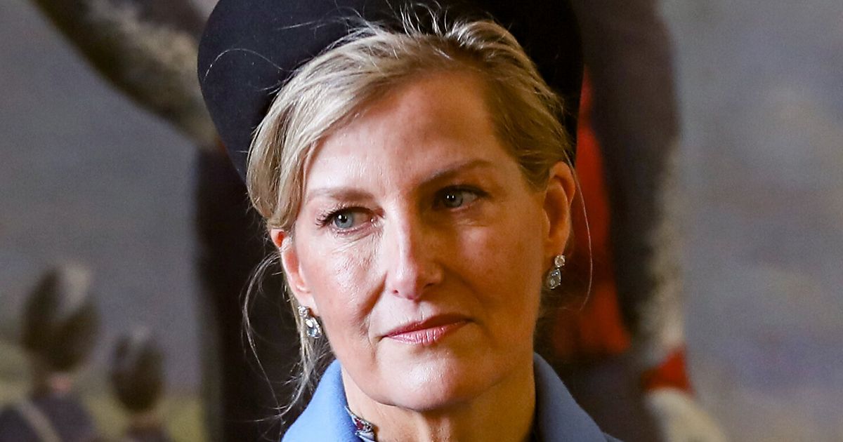 Royal Police Escort Hits Elderly Woman in London