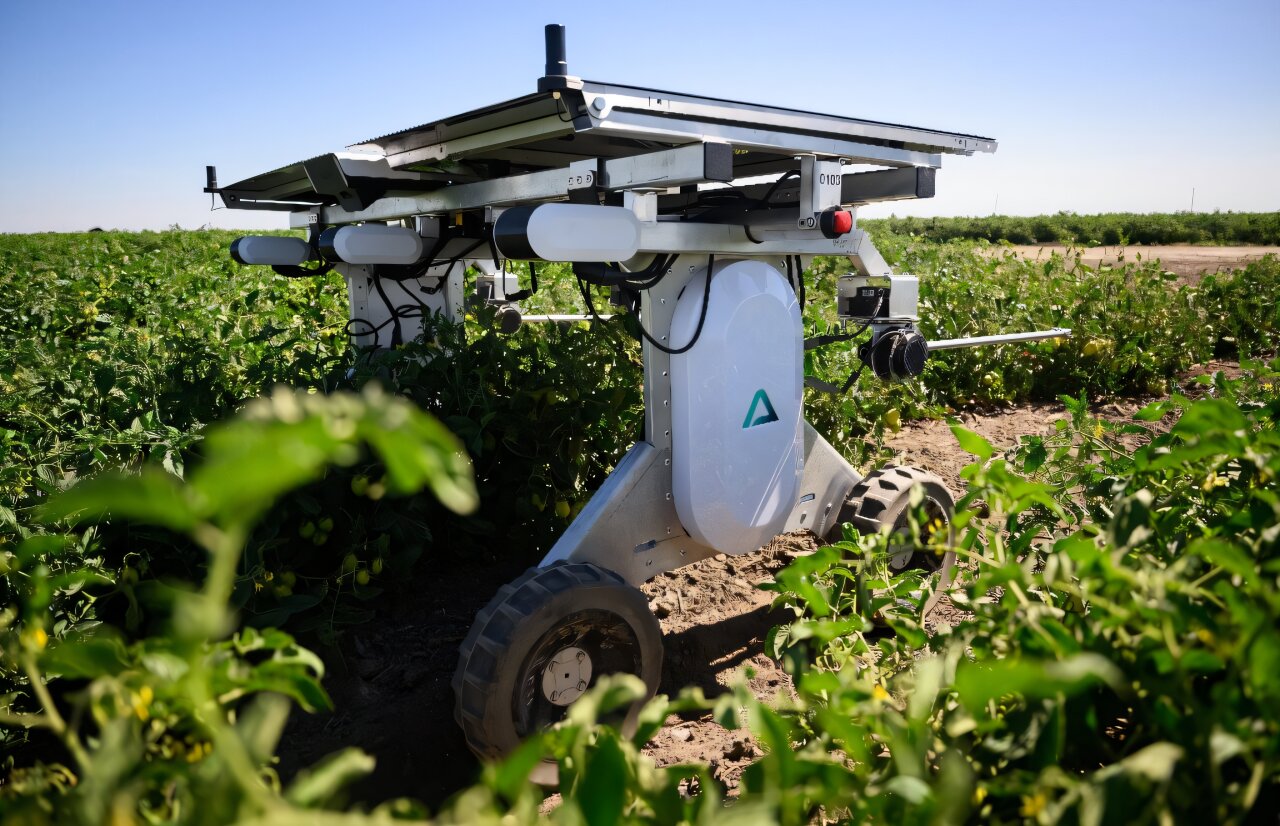 Featured image for AI Robots Take Over Weed Control and Farming Tasks