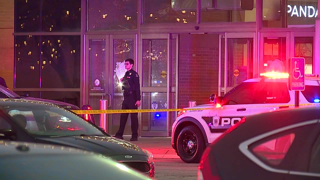 "Police urge safety precautions for Black Friday shopping after KC-area shootings"