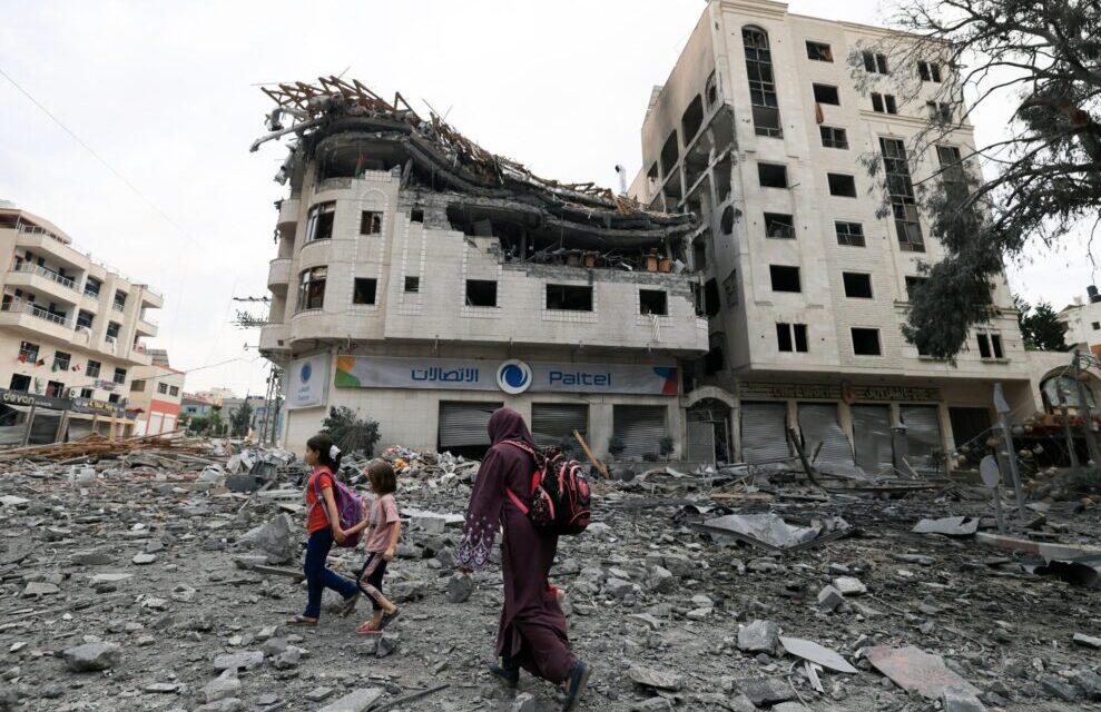 Featured image for International Organizations Call for Immediate Ceasefire in Gaza