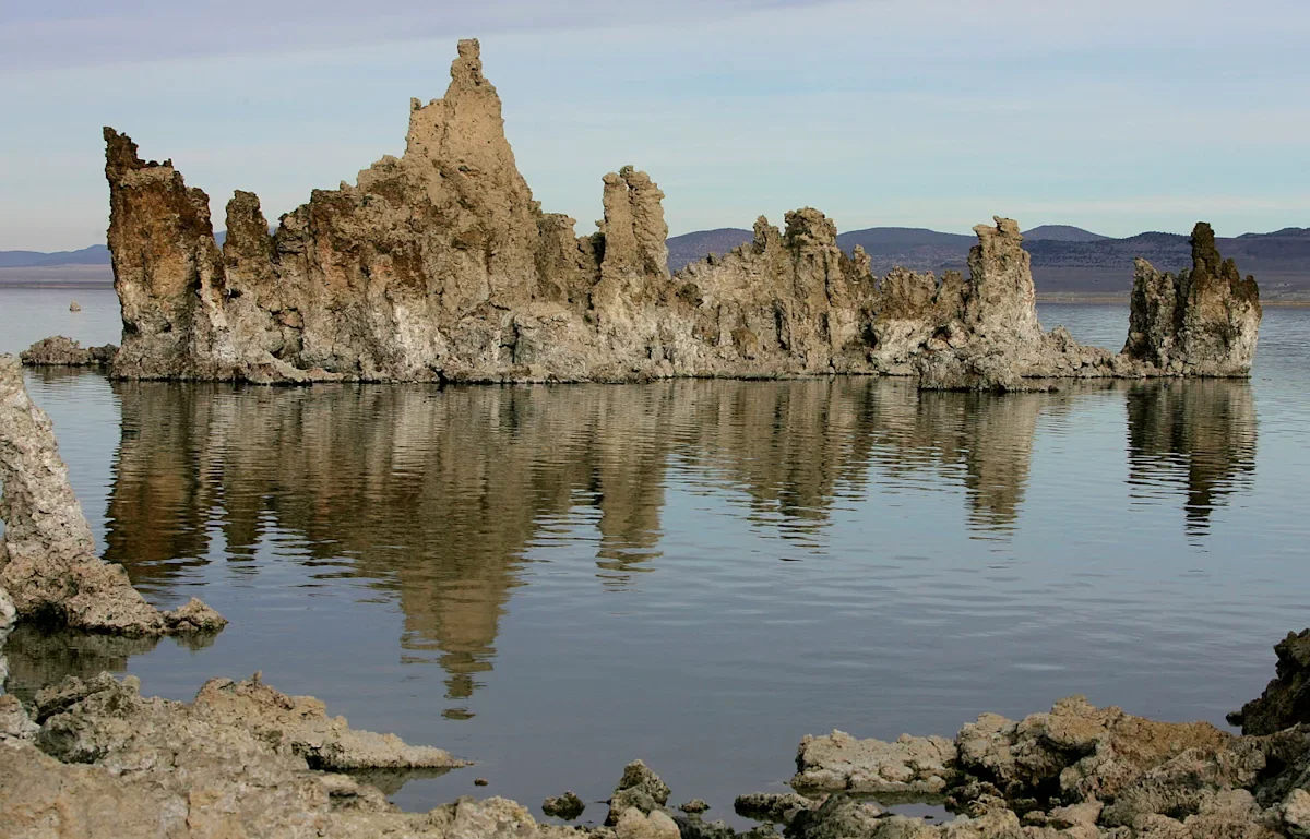 Science Journal Retracts Controversial Study on Bizarre Life Form