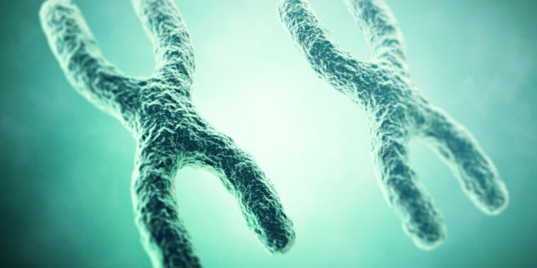 Featured image for "Uncovering the Link: X Chromosome's Role in Women's Proneness to Autoimmune Diseases"