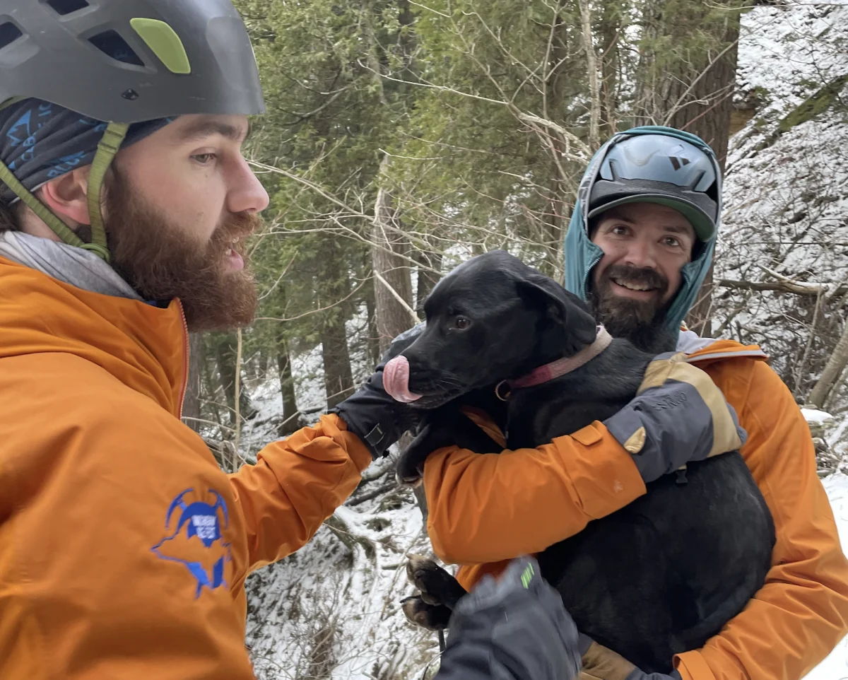 Featured image for "Miraculous Survival: Dog Rescued After 60-Foot Cliff Fall in Michigan"