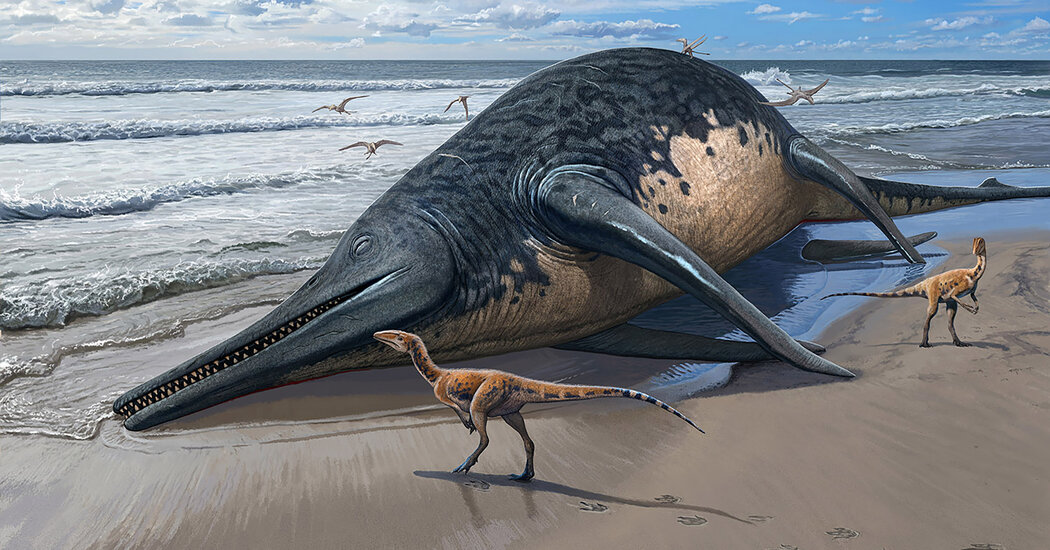 Featured image for "11-Year-Old Girl Discovers Largest-Ever Marine Reptile Fossil"