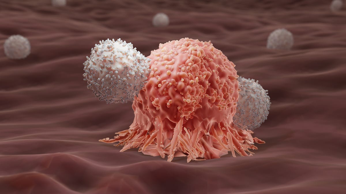Featured image for "FDA Investigates Potential Cancer Risk of CAR-T Therapy"