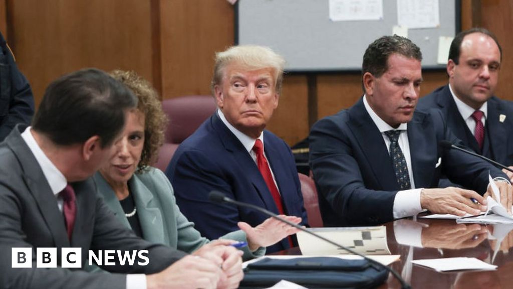 The legal implications of Trump's felony charges.