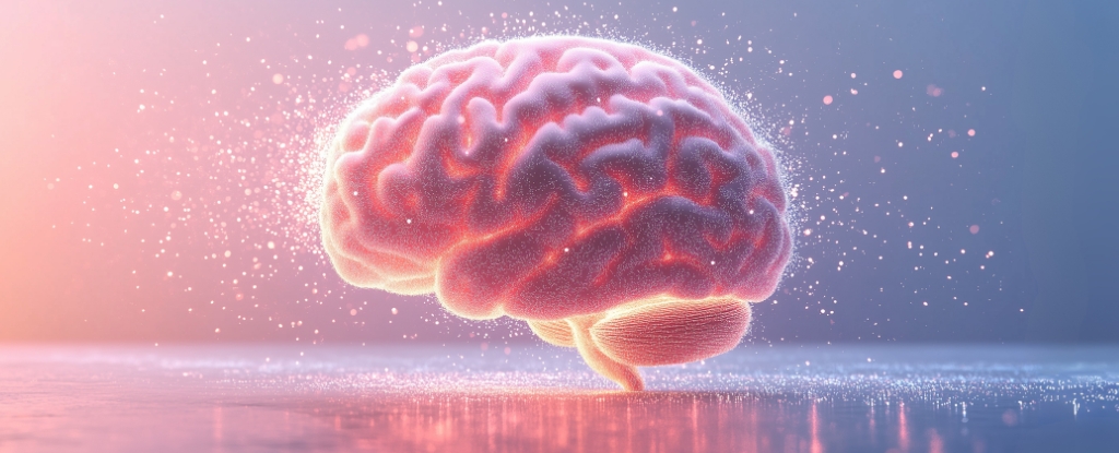 Autism's Roots in Human Evolution and Intelligence