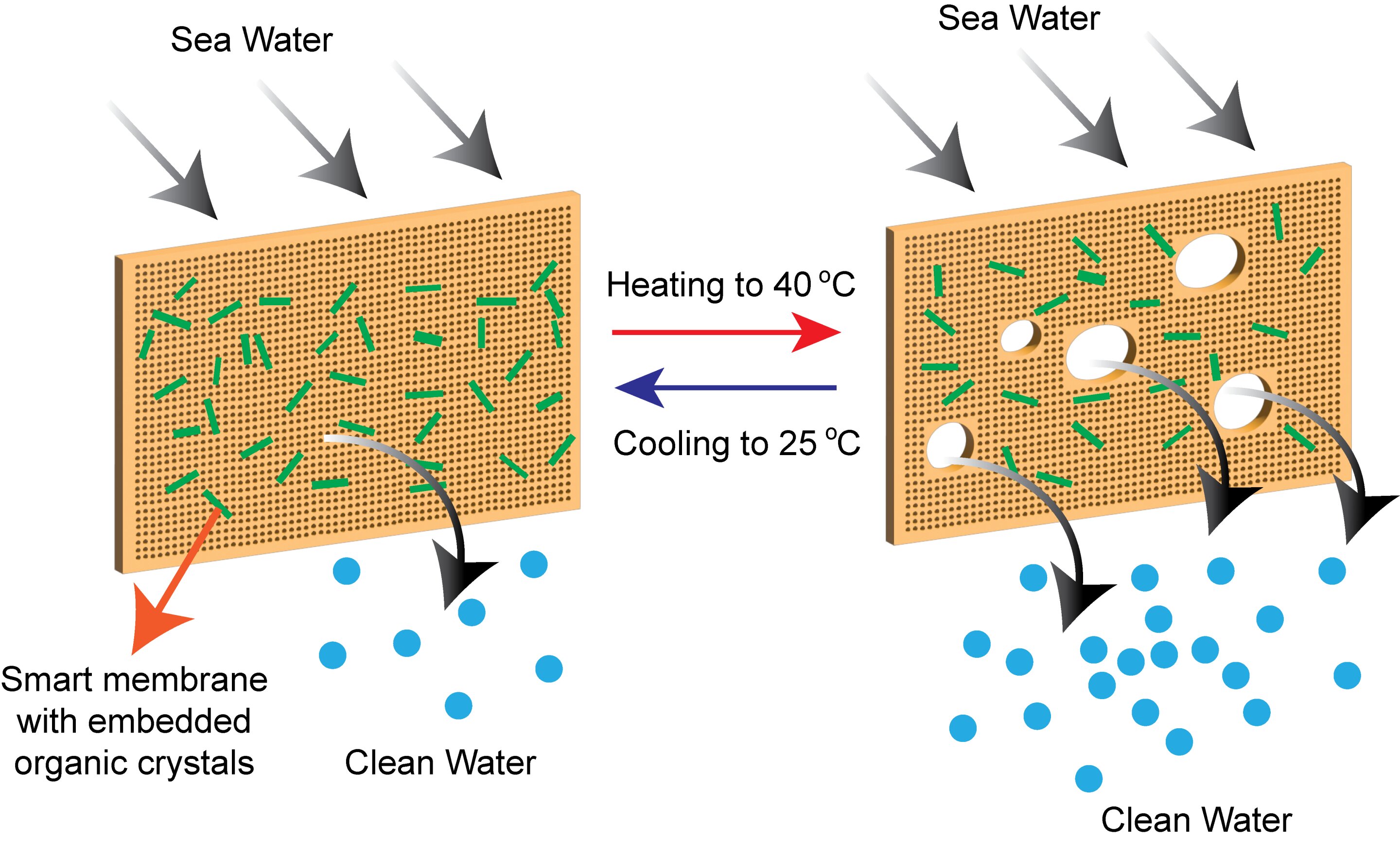 Featured image for "Breakthrough: Self-cleaning membranes revolutionize desalination efficiency"