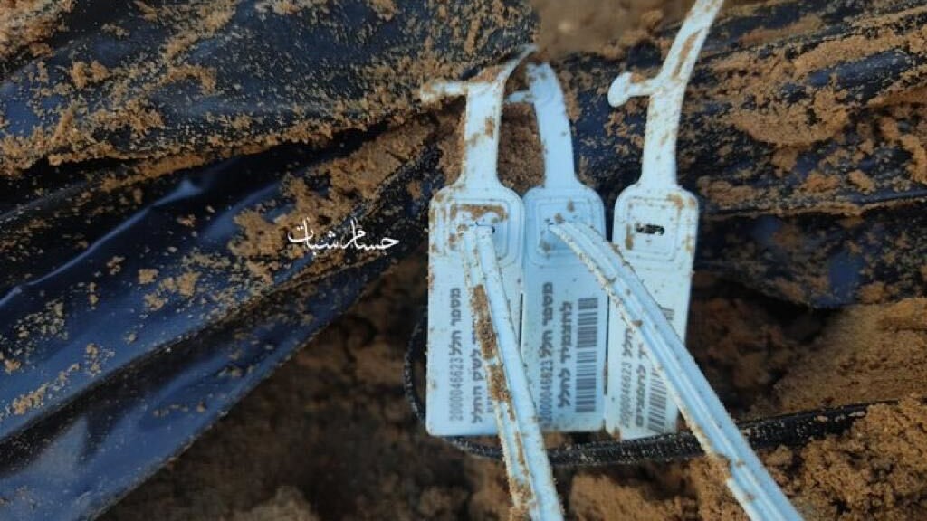 Massacre at Gaza Elementary School: Dozens of Palestinians Found Dead in Zip-Tied Body Bags