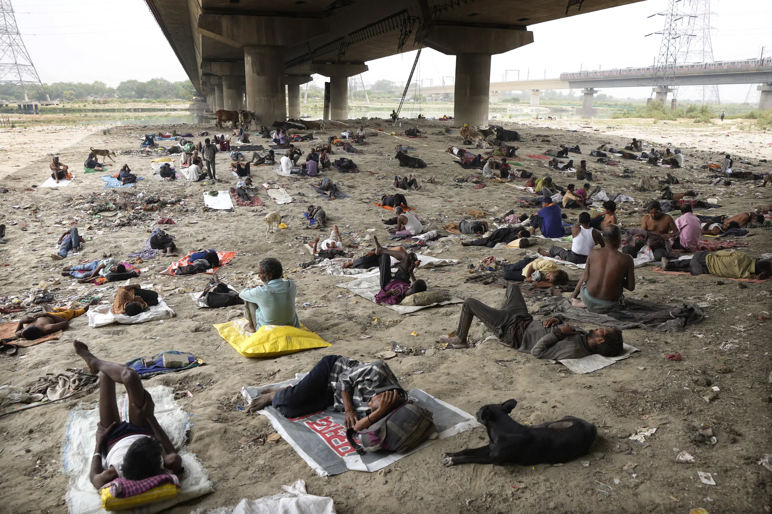 Featured image for India's Struggle with Heat Waves and Human Survival Limits