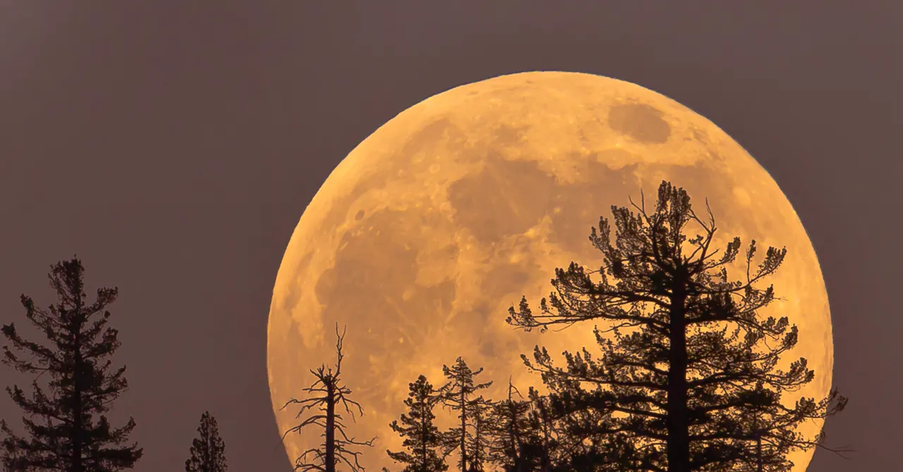 Featured image for Last Supermoon of the Year: How and When to View the Cold Moon