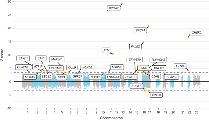 Unveiling New Breast Cancer Genes: Exome Sequencing and Blood Test Reveal Significant Risk Factors