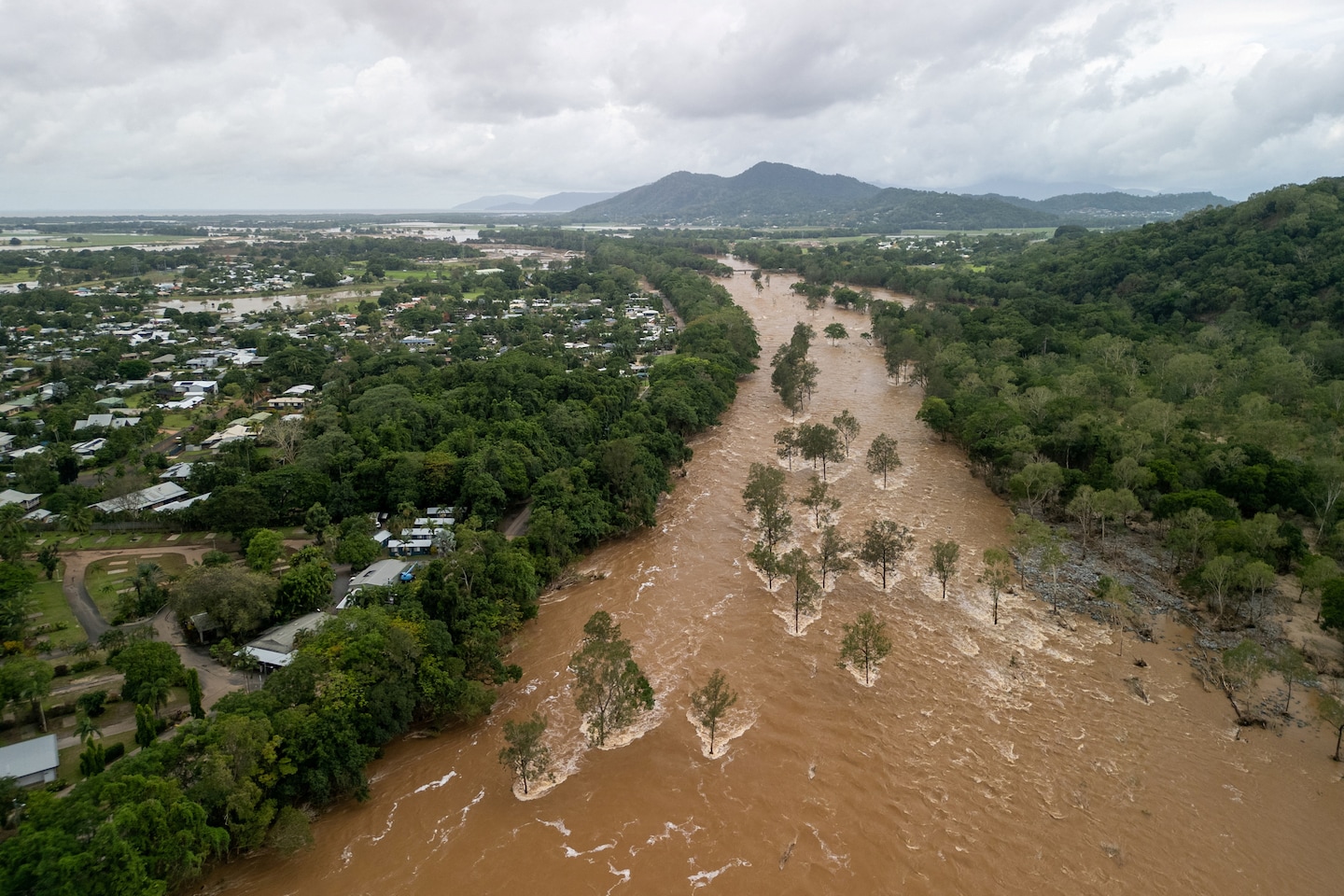 Featured image for "Devastating Floods and Crocodile Encounters: Queensland's Battle with Extreme Weather"
