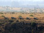 "Israeli Officers Propose Unilateral Truce with Massive Response Plan for Hezbollah Violation"