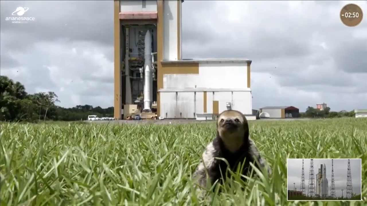 Featured image for Sloth's Surprise Appearance Steals Jupiter Mission Launch Show.